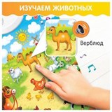 Игрушки электронные