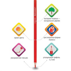 Карандаши цветные BRAUBERG PREMIUM, 12 цветов, шестигранные, грифель 3,3 мм, натуральное дерево, 181656 - фото 11040390