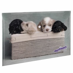 Папка-конверт с кнопкой ЮНЛАНДИЯ "Щенки", А4, 160 мкм, до 100 листов, цветная печать, 228050 - фото 11061358