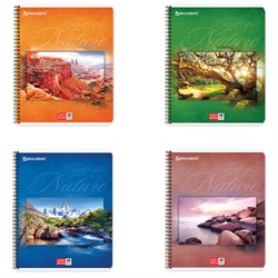 Тетрадь А5, 48 л., BRAUBERG, гребень, клетка, обложка картон, ПРИРОДА, 401874 - фото 11092663