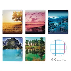 Тетрадь А5 48 л. АЛЬТ скоба, клетка, глянцевый лак, "Пейзажи" (5 видов), 7-48-637 - фото 11098557