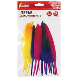 Перья декоративные прямые, 10-15 см, 24 шт., 6 цветов, двухцветные, ассорти, ОСТРОВ СОКРОВИЩ, 661381 - фото 11139469