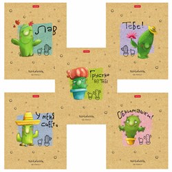 Тетрадь А5 48 л. HATBER скоба, клетка, матовая ламинация, "Мой друг Кактус" (микс в спайке), 074454, 48Т5лВ1 - фото 11216399