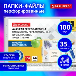 Папки-файлы перфорированные горизонтальной ориентации А4 BRAUBERG, КОМПЛЕКТ 100 шт., 35 мкм, 271829 - фото 13113731