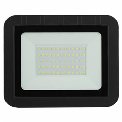 Прожектор светодиодный ЭРА, 50 (415) Вт, 6500 К, 4600 Лм, IP65, PRO LPR-061-0-65K-050, Б0043591 - фото 13323090