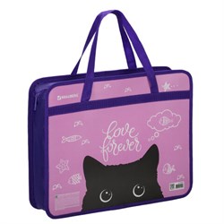 Папка на молнии с ручками BRAUBERG А4, 1 отделение, пластик, 80 мм, "Black Cat", 270122 - фото 13351065