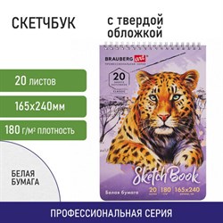 Скетчбук, белая бумага 180 г/м2, 165х240 мм, 20 л., гребень, твердая обложка, BRAUBERG ART CLASSIC, 112993 - фото 13549748