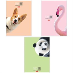 Тетрадь А4 96 л. HATBER скоба, клетка, матовая ламинация, "Кто здесь?" (микс), 066192, 96Т4лВ1 - фото 13549760