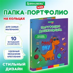 Папка-портфолио дошкольника "ДИНОЗАВР", 4 кольца, 20 файлов, 10 вкладышей, 7БЦ матовая, BRAUBERG KIDS, 115238 - фото 13550081
