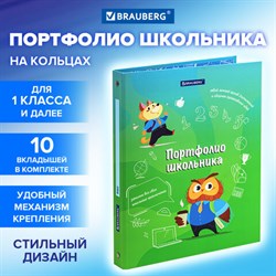 Папка-портфолио школьника "ОТЛИЧНИК", 4 кольца, 20 файлов, 10 вкладышей, 7БЦ матовая, BRAUBERG, 115240 - фото 13550083