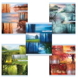 Тетрадь А5, 80 л., HATBER, скоба, линия, обложка картон, "ПРОБУЖДЕНИЕ ПРИРОДЫ" (микс), 046931, 80Т5В2 - фото 13550997