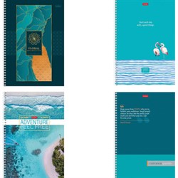 Тетрадь А4, 80 л., HATBER, гребень, линия, обложка картон, "Ассорти" (микс в спайке), 066144, 80Т4В2гр - фото 13551149