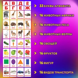 Карточки Домана, 8 развивающих брошюр по методике ГЛЕННА ДОМАНА, 145 изображений, ЮНЛАНДИЯ, 691022 - фото 13555553