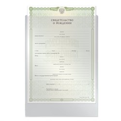 Папка-файл для свидетельства о рождении, 190х263 мм, без отверстий, ПВХ 120 мкм, "ДПС", 1746 - фото 13569382