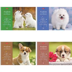 Альбом для рисования А4 40 л., спираль, обложка картон, HATBER, 205х290 мм, "Doggie-Щенки" (4 вида), 067478, 40А4Всп - фото 13588719