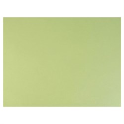 Бумага для пастели (1 лист) FABRIANO Tiziano А2+ (500х650 мм), 160 г/м2, салатовый теплый, 52551011 - фото 13589370