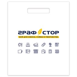 Пакет презентационно-упаковочный ГРАФСТОР, 45х54 см, усиленная ручка, 505902 - фото 13590070