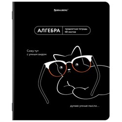 Тетрадь предметная МЕМЫ 48 л., TWIN-лак, АЛГЕБРА, клетка, подсказки, BRAUBERG, 405096 - фото 13711172
