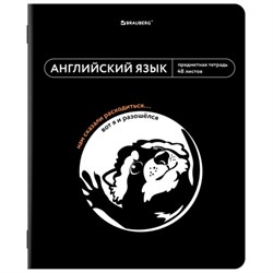 Тетрадь предметная МЕМЫ 48 л., TWIN-лак, АНГЛИЙСКИЙ ЯЗЫК, клетка, подсказки, BRAUBERG, 405098 - фото 13711174