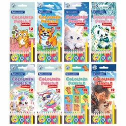 Карандаши цветные "АССОРТИ 8 ДИЗАЙНОВ 3-10 лет", 12 цветов, трехгранные, BRAUBERG, 182055 - фото 13714799