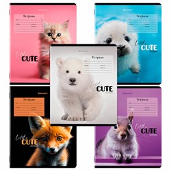 Тетрадь 12 л. BRAUBERG, клетка, обложка картон, CUTE ANIMALS, 107266 - фото 13742831