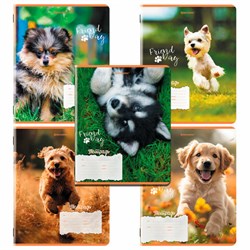 Тетрадь 18 л. BRAUBERG клетка, обложка картон, СОБАЧКИ, 107295 - фото 13742849