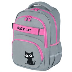 Рюкзак BRAUBERG MOTION, 2 отделения, 3 кармана, "Crazy cat", 41х28х17 см, 273115 - фото 13745065
