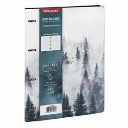 Тетрадь на кольцах БОЛЬШАЯ А4 (240х310 мм), 120 л., под кожу, BRAUBERG VISTA, "Туман", 404515 - фото 13747086