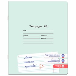 Тетрадь ПРОПИСЬ № 5 12 л. узкая линия, со справочным материалом, обложка картон, ЮНЛАНДИЯ, 404850 - фото 13747111