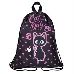 Мешок для обуви BRAUBERG KIDS, с петлей, 42х34 см, "Amazed cat", 271629 - фото 13764319