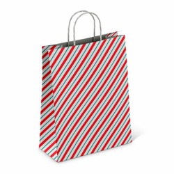 Крафт-пакет бумажный "Узкая полоса" 26х15х35 см, с кручеными ручками, плотность 100 г/м2, белый, 113228 - фото 13764582