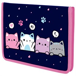 Папка для тетрадей BRAUBERG KIDS А5, 1 отделение, пластик, молния вокруг, "Anti-gravity", 273323 - фото 14225151