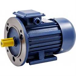 Электродвигатель ТМ БЭЗ АИP 100L6 IM2081 - фото 14706056