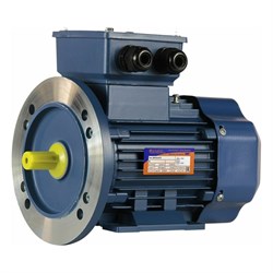 Электродвигатель 5АИ 63 В2 0.55/3000 IM 2081 - фото 14706755