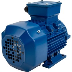 Электродвигатель 5АИ 80 А2 1.5/3000 IM 1081 - фото 14706949