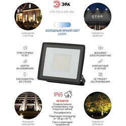 Уличный светодиодный прожектор ЭРА LPR-023-0-65K-050 - фото 14711174