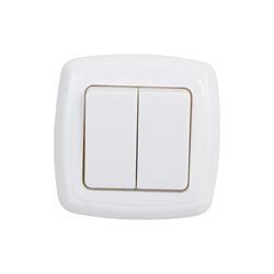 Двухклавишный выключатель ООО Ливны-Электро С2-006 УХЛ 4 - фото 14746457