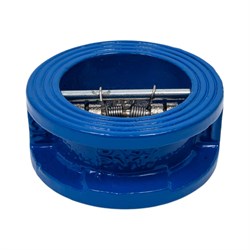 Двухдисковый межчугунный обратный клапан Ci D100-01758 - фото 14754641