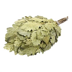 Дубовый веник Банные Штучки 3542 - фото 14760345