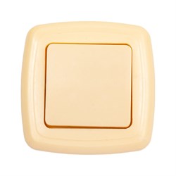 Выключатель скрытой установки ООО Ливны-Электро ВСП 13 - фото 14769159