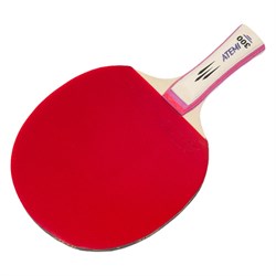 Ракетка для настольного тенниса Atemi 300 CV - фото 14792309