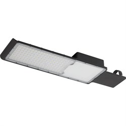 Уличный светильник ЭРА SPP-503-0-50K-120 - фото 14801470