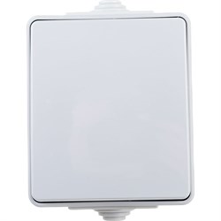 Переключатель ЭРА Эксперт - фото 14807534