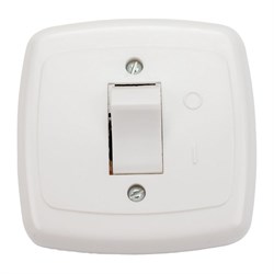 Одноклавишный выключатель ООО Ливны-Электро С1-002 УХЛ 4 - фото 14813877