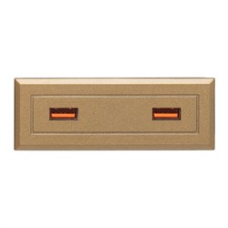 Блок розеток NAVAKO stripe gold - фото 14833157