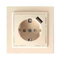 Одноместная розетка Stekker Эрна - фото 14847008