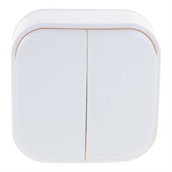 Двухклавишный выключатель IONICH 1413 - фото 14855228