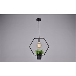 Потолочно-подвесной светильник РОССВЕТ 20853 BK/1P - фото 14855350