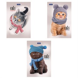 Блокнот МАЛЫЙ ФОРМАТ А6, 40 л., склейка, мелованная бумага, клетка, глянцевая ламинация, HATBER, "Кототерапия", 057230, 40Б6лA1к - фото 14922801