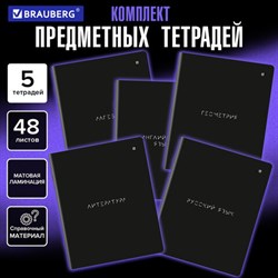 Тетради предметные, КОМПЛЕКТ 5 ПРЕДМЕТОВ, 48 л., матовая ламинация, BRAUBERG "MINIMAL", 405185 - фото 14922863
